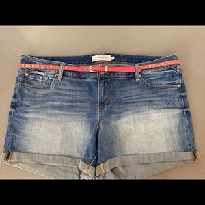 Torrid cuffed denim shorts with pink studded belt.